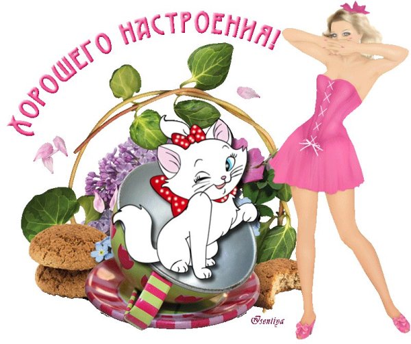 Добрый день с юмором