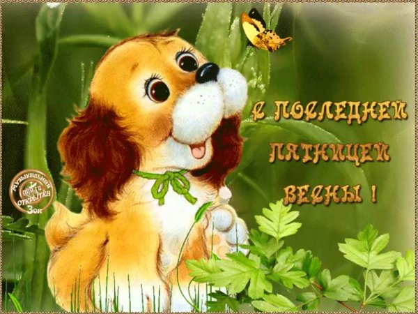 Открытки с большим приветом
