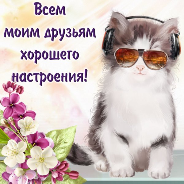 Открытки отличного настроения