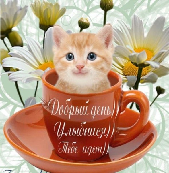 Доброго прекрасного дня