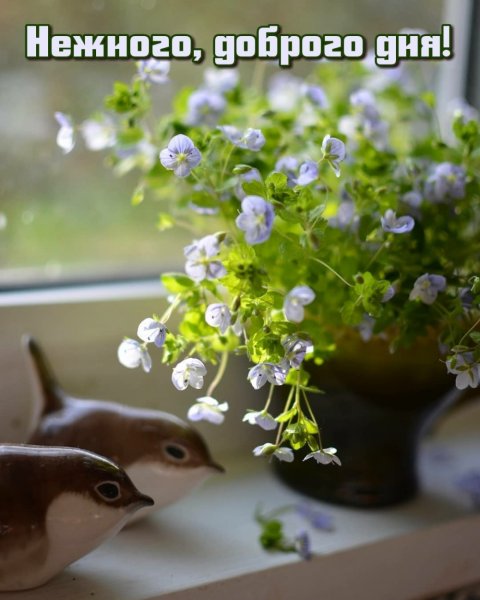 Необыкновенного дня