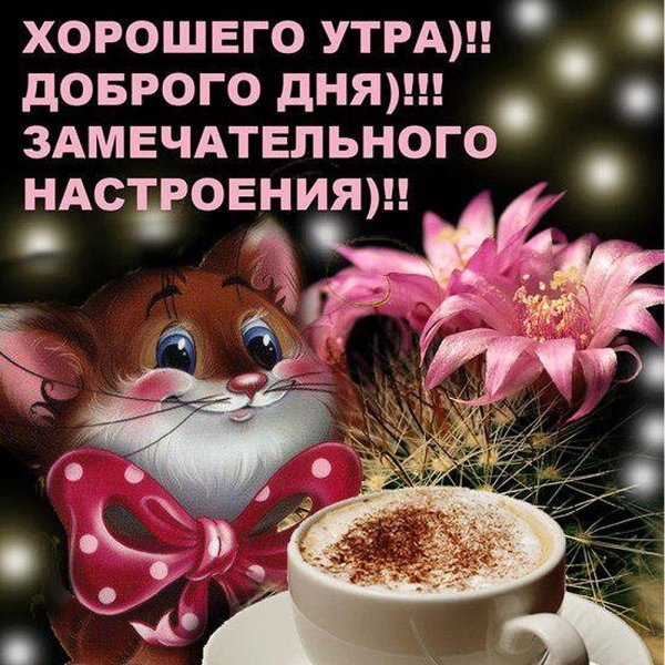 Добрев утро хорошо дня
