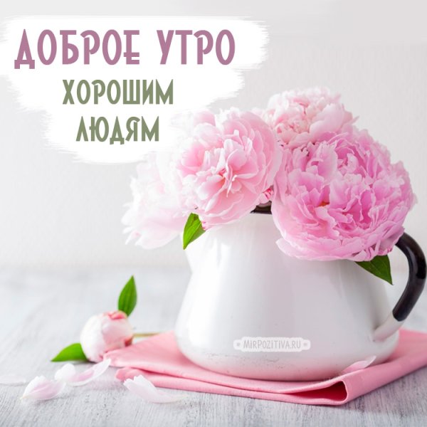 Доброе утро картинки
