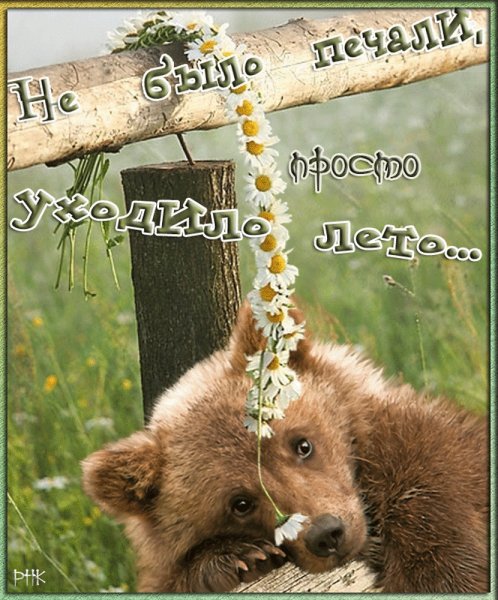 Уходящее лето