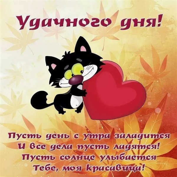 Удачного дня картинки