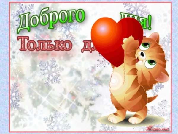 Добрый день милый