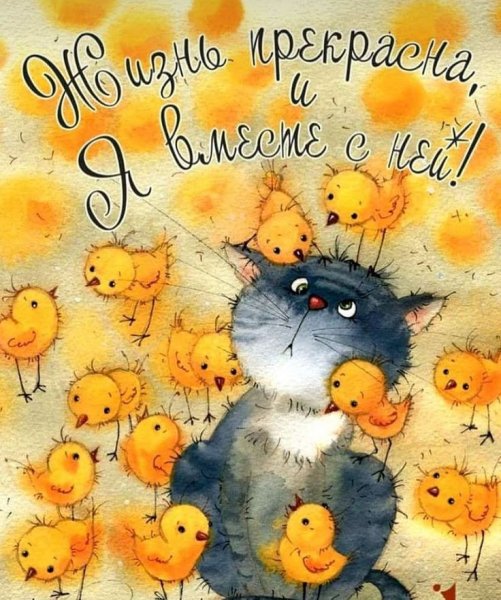 Позитивные открытки