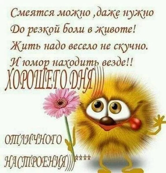 Веселые пожелания с добрым утром