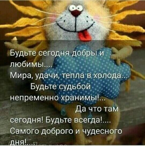 Открытки с добрым утром смешные позитивные