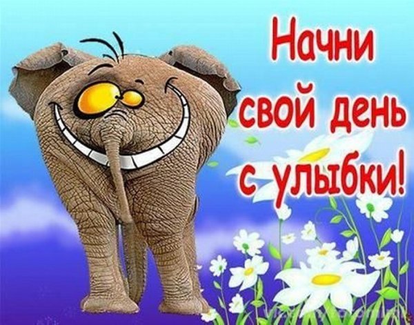 Хорошего дня прикол
