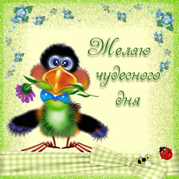Хорошего дня прикольные