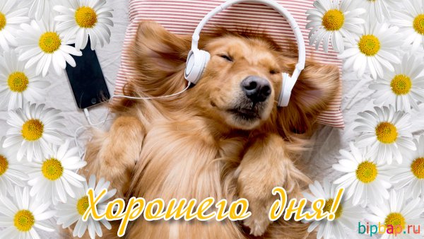 Отличного дня