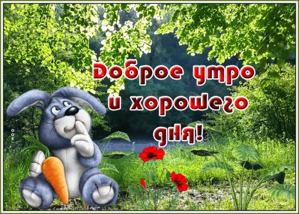 Смешные пожелания с добрым утром