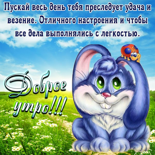 Открытки с добрым утром прико