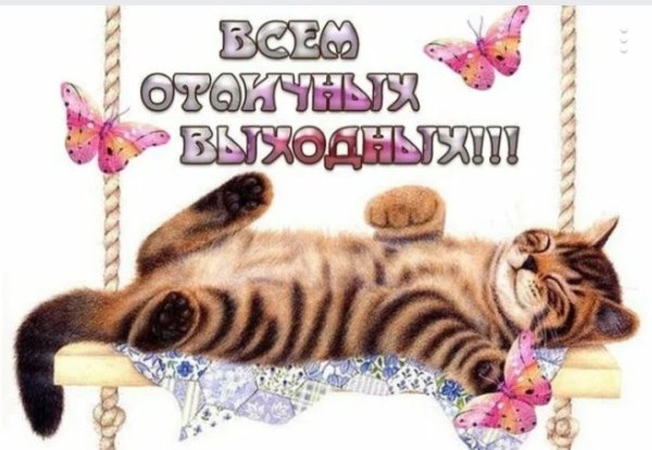 Удачных выходных картинки прикольные