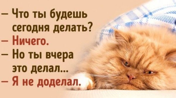 Планы на воскресенье картинки прикольные