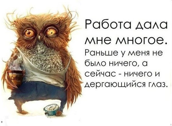 Приколы про 44 ФЗ В картинках