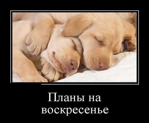 Хорошего воскресенья