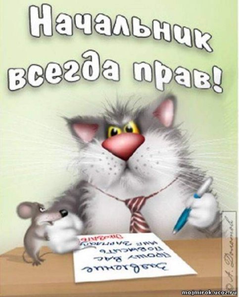 Прикольные открытки