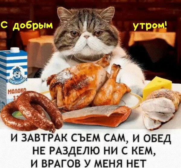 Обед прикол