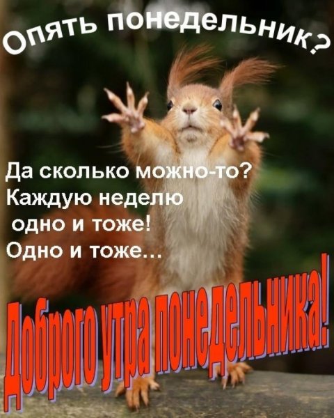 Доброе утро смешные картинки