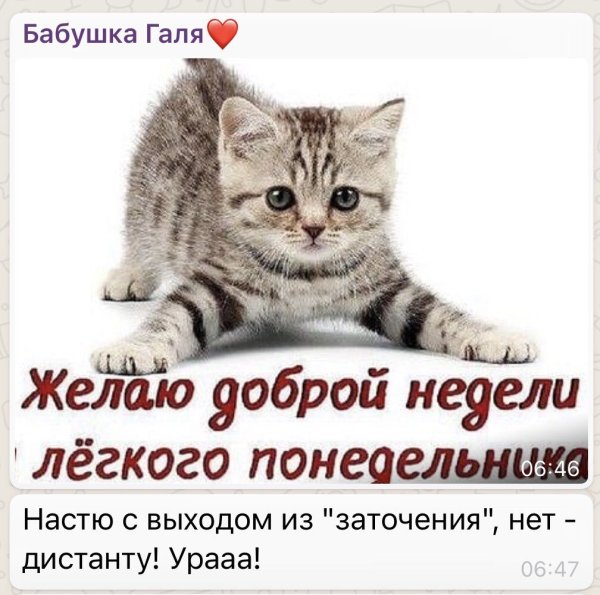 Открытки с понедельником прикольные