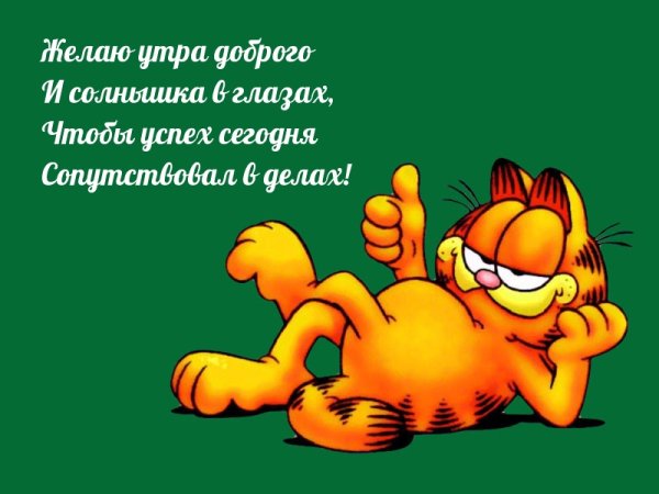 Открытки с добрым утром понедельника