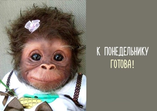 С понедельником прикольные