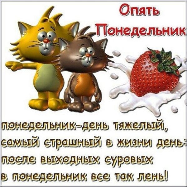Открытка с понедельником смешная