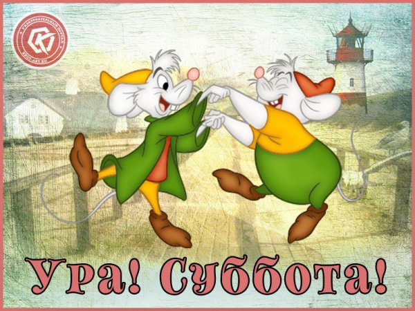 Прикольные открытки