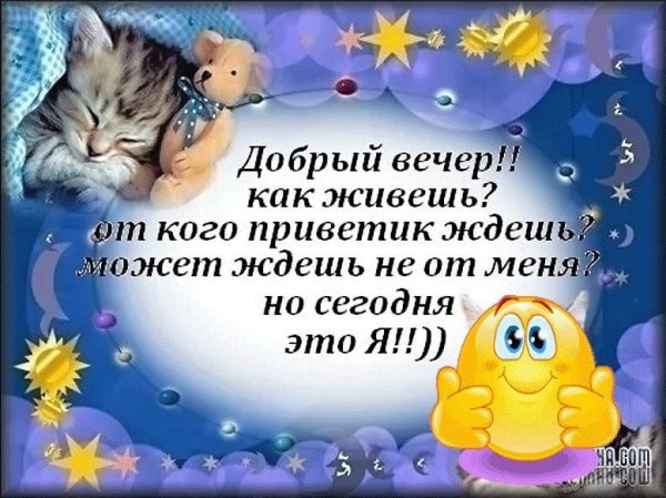 Веселые поздравления с добрым вечером