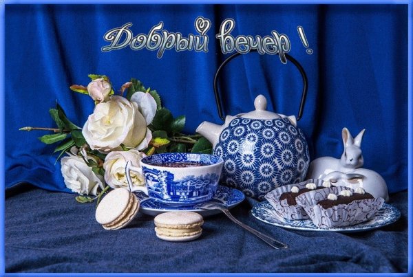 Добрый вечер Весна