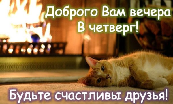 Уютного вечера четверга