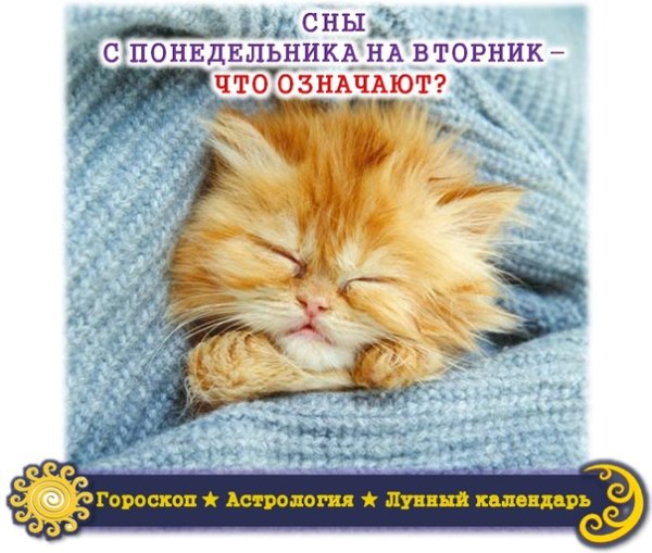 Доброй ночи завтра понедельник