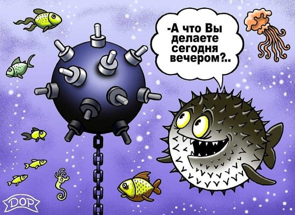 Картинки с вечером прикольные смешные