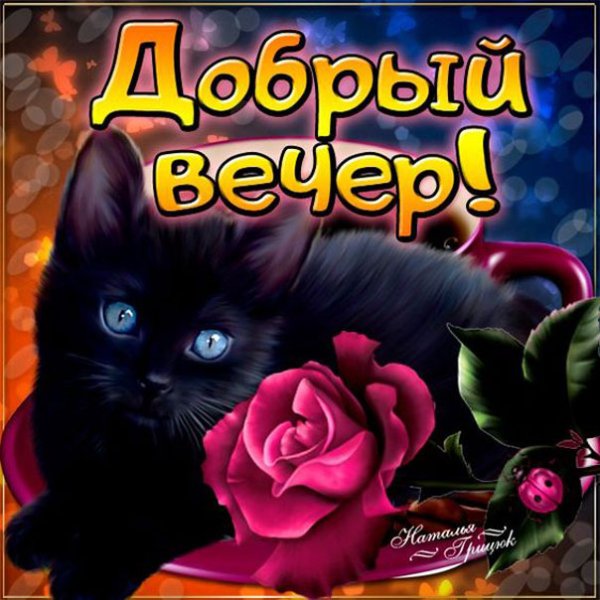 Поздравления с добрым вечером прикольные