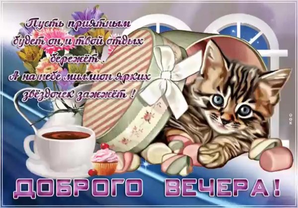 Добрый вечер картинки прикольные