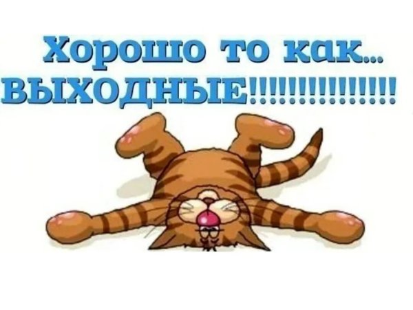 Весёлых выходных картинки