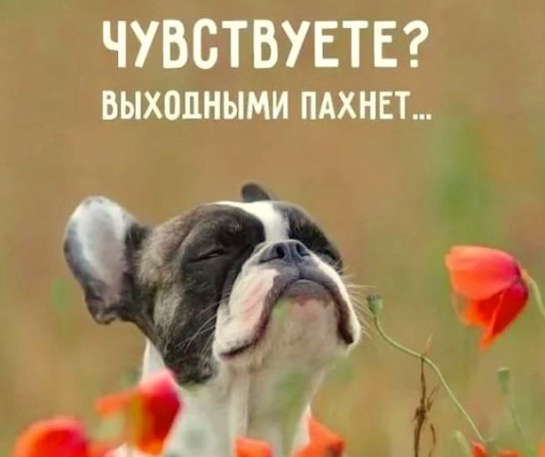 Чувствуете выходными пахнет