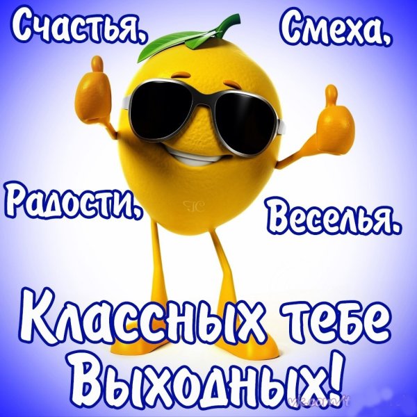 Хорошего дня прикольные