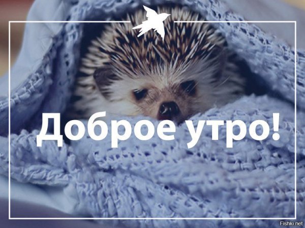 Утро понедельника
