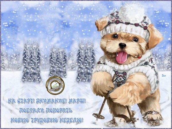 Открытки хорошего зимнего настроения