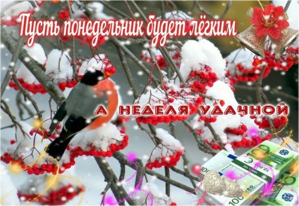 С добрым зимним утром поне