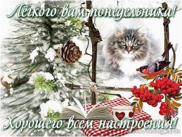 Легкой недели зима