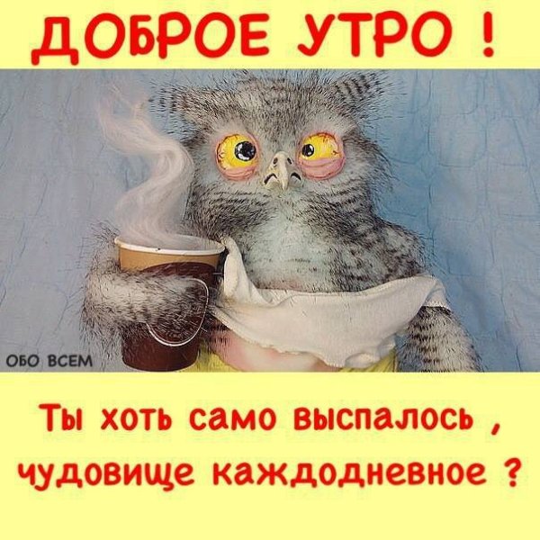 Не доброе утро