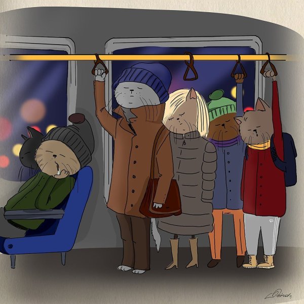 Холодное утро прикол