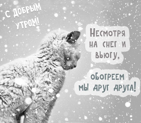 Доброе Снежное утро