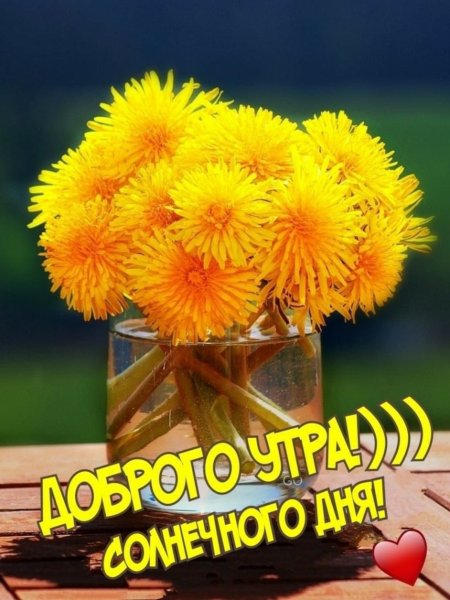 Доброго солнечного у ра