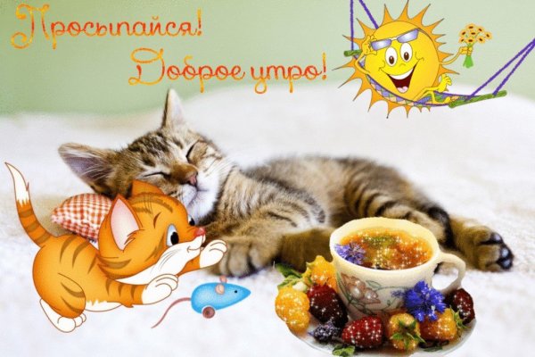 Проснулись с добрым утром