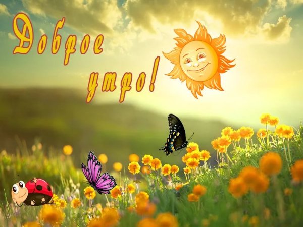Солнечный день